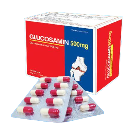 Viên uống bổ sung dịch chất nhờn cho khớp Glucosamin 500mg HATAPHARM hộp 10 vỉ x 10 viên