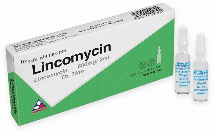 Dung dịch tiêm Lincomycin 600mg/2ml Vinphaco hộp 1 vỉ x 10 ống