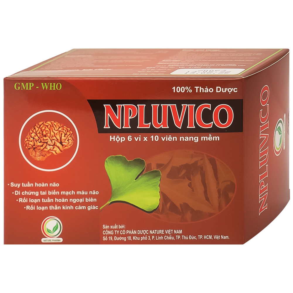 Điều trị suy tuần hoàn não Npluvico Nature hộp 6 vỉ x 10 viên
