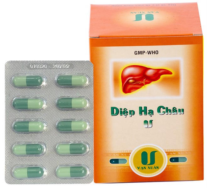 Diệp Hạ Châu V hộp 100 viên