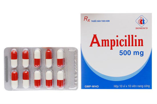 Thuốc kháng sinh Ampicillin 500mg (Domesco) hộp 100 viên