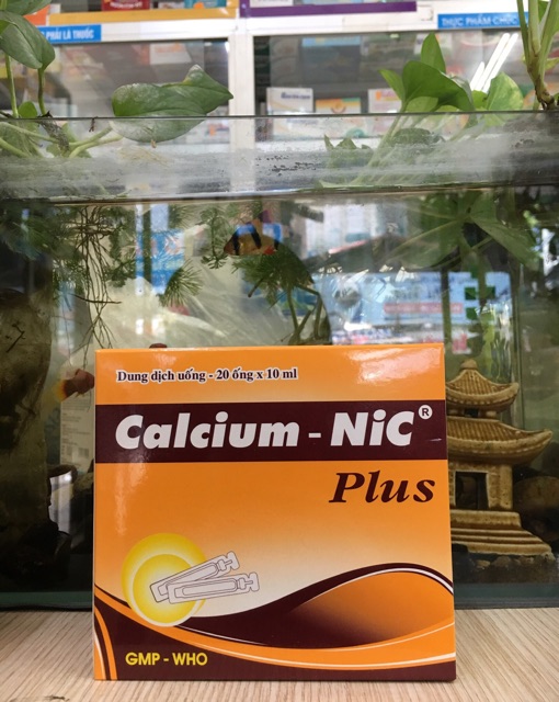 Dung dịch uống Calcium - NIC plus 10ml hộp 10 ống x 10ml
