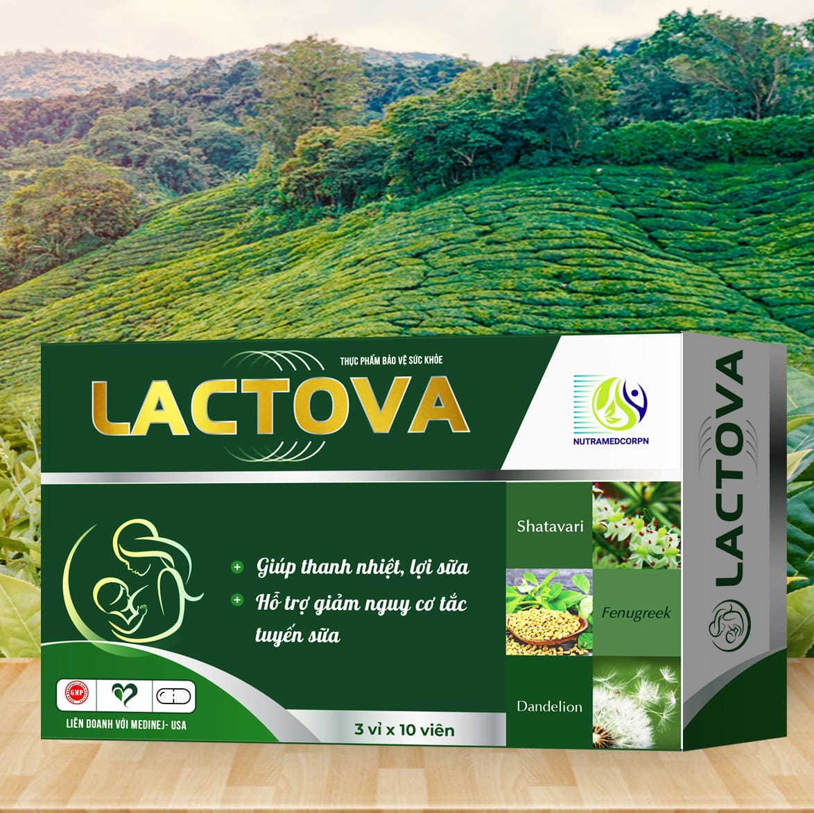 Giúp thanh nhiệt, lợi sữa Lactova (Nutramedcorpn) hộp 3 vỉ x 10 viên