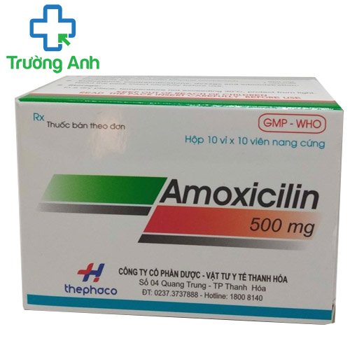Thuốc kháng sinh Amoxicilin 500mg thephaco hộp 100 viên