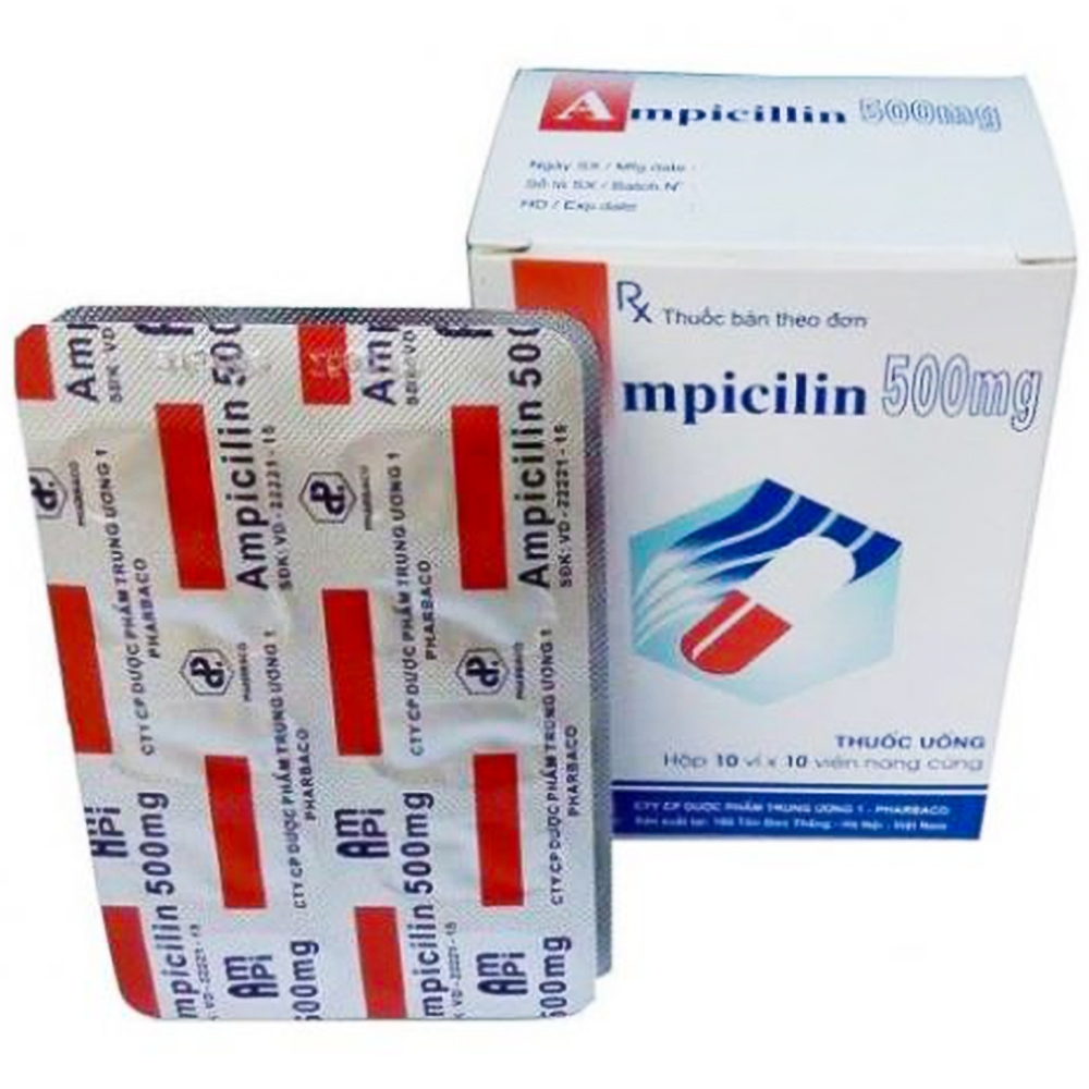 Thuốc kháng sinh Ampicillin 500mg (TW1) hộp 100 viên