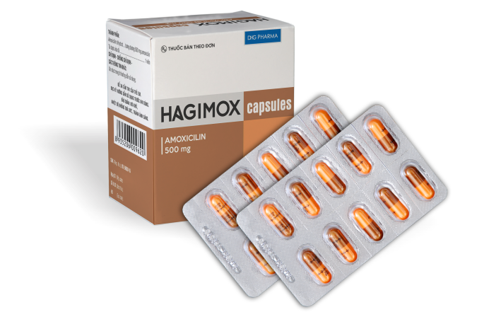 Thuốc kháng sinh Hagimox 500 (nâu - cam) hộp 10 vỉ x 10 viên