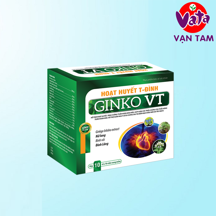 Thực phẩm bảo vệ sức khỏe Hoạt huyết T-Đình Ginko VT hộp 10 vỉ x 10 viên