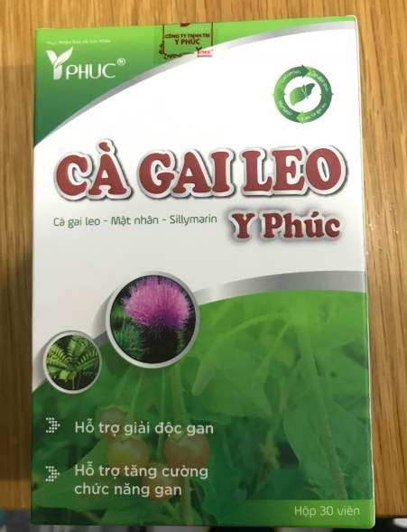 Hỗ trợ giải độc gan, tăng cường chức năng gan Cà Gai Leo Y Phúc hộp 30 viên