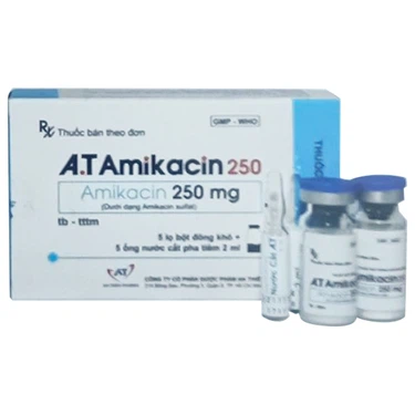 Thuốc kháng sinh A.T Amikacin 250mg An Thiên hộp 5 lọ bột + 5 ống dung môi x 2ml
