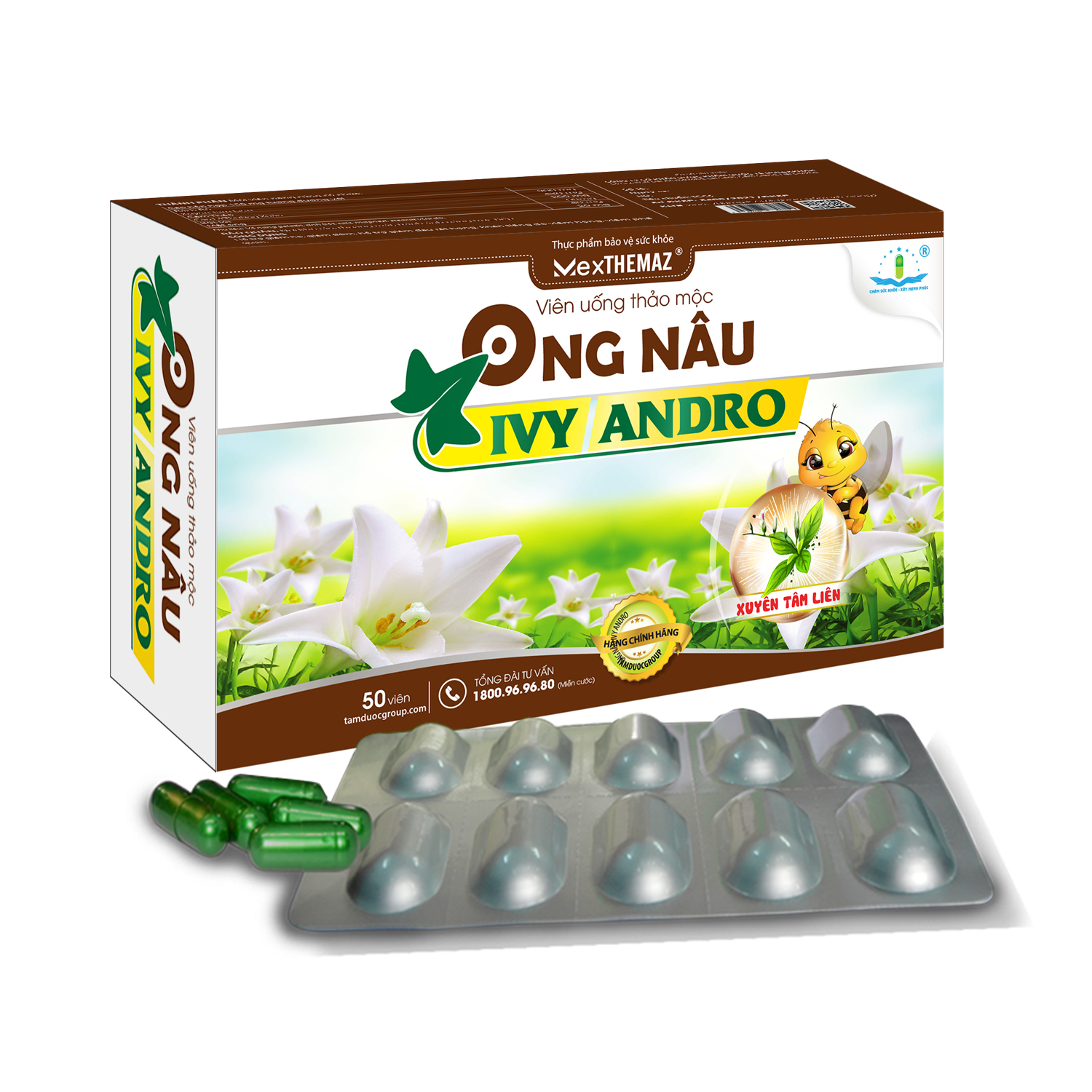Viên uống thảo mộc Ong Nâu Ivy Andro hộp 5 vỉ x 10 viên