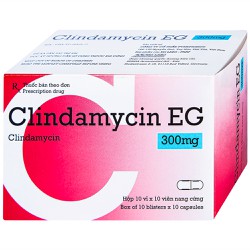 Thuốc kháng sinh Clindamycin EG 300mg hộp 100 viên