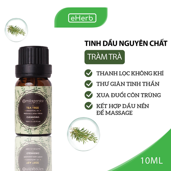 Tinh dầu tràm trà nguyên chất, thơm phòng, đuổi muỗi, giảm stress Milaganics Tea Tree hộp 1 chai 10ml